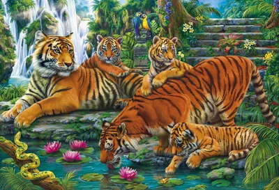Красочная картинка семьи тигров в формате jpg
