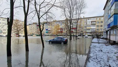 Картинки Семёна Молоканова: скачайте в любом формате бесплатно