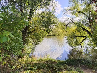 Фотографии сентября: Очарование природы в HD качестве.