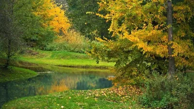 Фотографии сентябрьской природы: Скачивайте бесплатно в хорошем качестве.