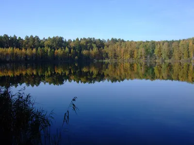 Фотографии сентября в хорошем качестве