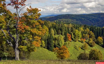 Арт фотография пейзажа 4K