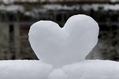 Сердце из снега: Очарование зимней природы в каждом кадре