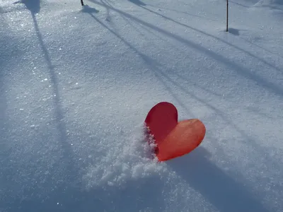 Волшебный момент: Фото с сердцем из снега в webp