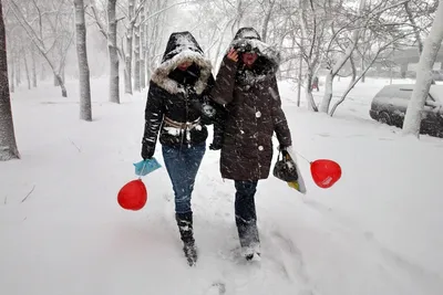 Веселье зимы: Сердце на снегу – бесплатные картинки для вас.