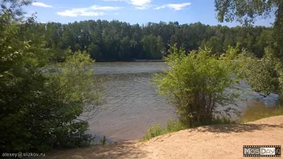 Фотографии Серебряного бора пляжа: вдохновение от природы и морской красоты