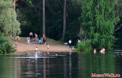 Путешествие в Серебряный бор пляж через фотографии