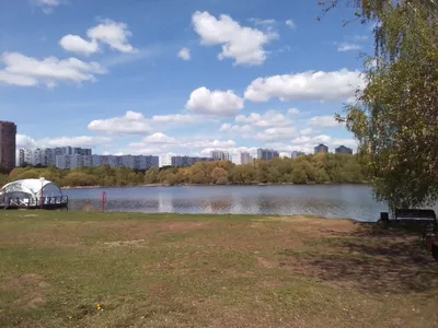 Прикоснитесь к Серебряному бору пляжа через фотографии