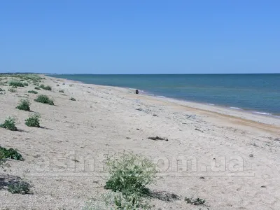 Уникальные снимки Сергеевка пляжа