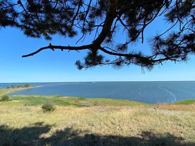 Фотографии Сергеевки пляжа: идеальное сочетание природы и морского бриза.