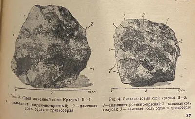 Фотография Сергея Дьякова - харизматичный актер