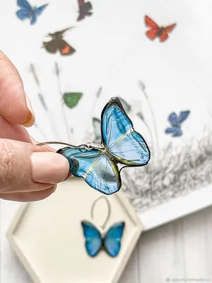 Пленительные Серьги бабочки - восхитительное фото в WebP формате
