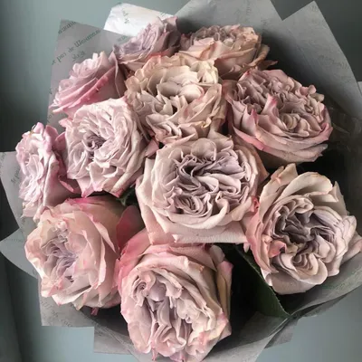 Фотка серых роз в нежных пастельных оттенках