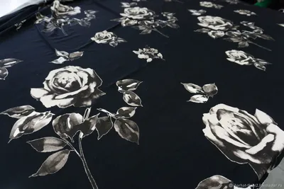 Фотография серых роз на черном фоне, выделяющая их изящество