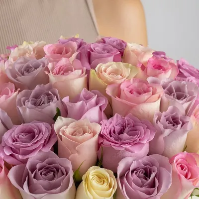 Фотка серых роз с нежными оттенками фиолетового