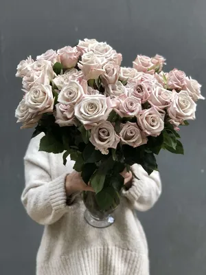 Очаровательные серые розы на фото с эффектом размытости