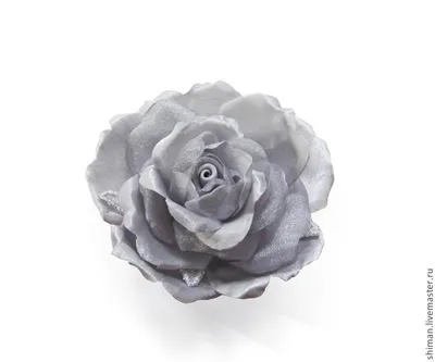 Фотография серых роз с яркими лепестками