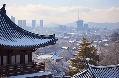 Фотоизысканность: Сеул в зимнем амплуа