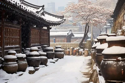 Сеул зимой фотографии