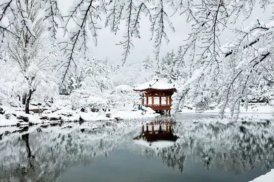 Фотоальбом Сеул зимой: Индивидуальный выбор размеров