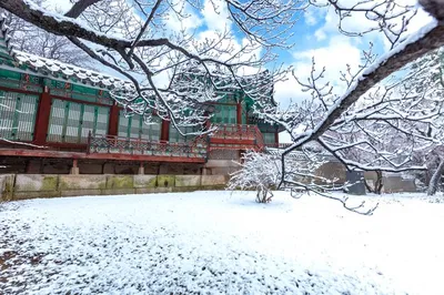 Зимнее вдохновение: Сеул в разных цветовых оттенках