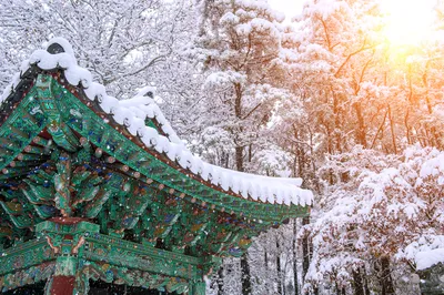 Снежные дни в Сеуле: Фотографии для любых размеров
