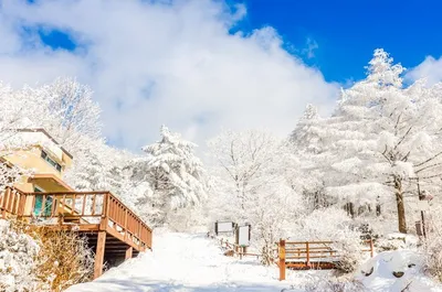 Фотографии Сеула под снегом: Зимний визуальный праздник
