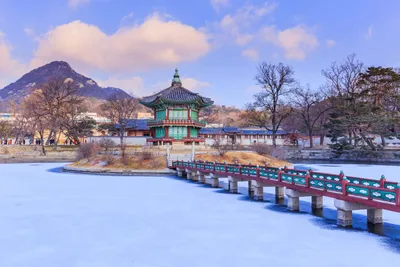 Зимние моменты: Фотографии Сеула