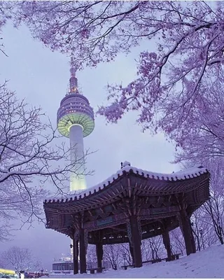 Зимняя стихия: Изысканные фотографии Сеула