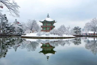 Зимнее волшебство Сеула: Фотографии для скачивания