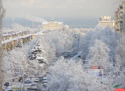 Севастополь под снежным одеялом: JPG, PNG, WebP для ваших фотографий