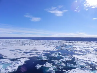 Северный полюс в объективе: Очарование арктических просторов