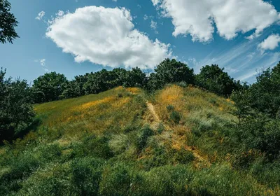 Фотк горы с великолепным шабашем ведьм на лысой вершине