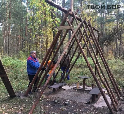 Фото Шалаша в лесу: обновите свой рабочий стол