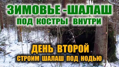 Лесные впечатления: обои на рабочий стол с изображением шалаша