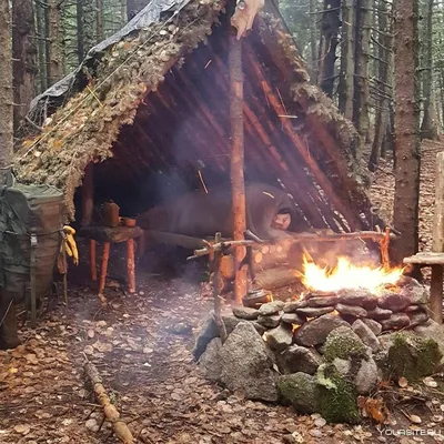 Фото на айфон: шалаш в лесу на вашем экране