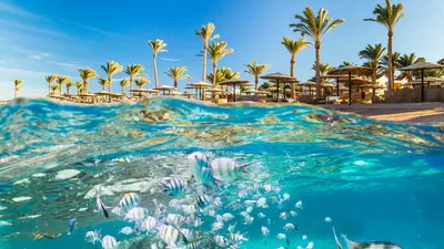 Откройте для себя прекрасные пляжи Шарм эль шейха через эти впечатляющие фотографии