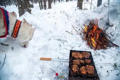 Теплый огонь и белый пух: Шашлык на снеговом поле