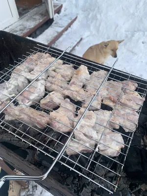 Зимний пикник: Фотокарточка с шашлыком в снегу