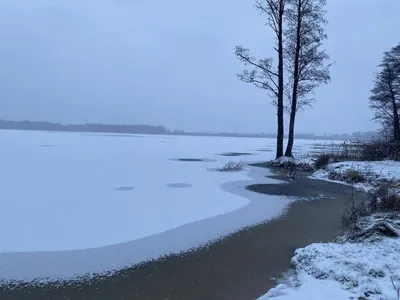 Вдохновение в каждой детали: фотографии Шатських озер заставят вас влюбиться в естественную красоту.