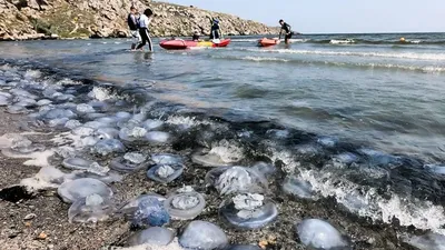 Фотографический рассказ: захватывающие виды Азовского моря