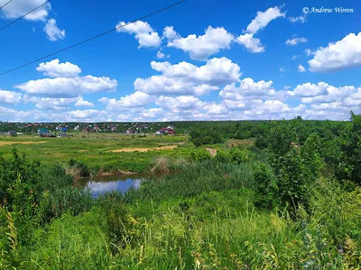 Атмосферные гифки с природой Щепкинского леса