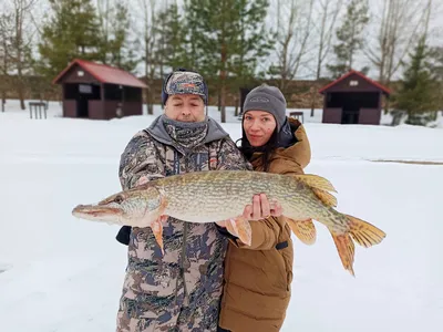 Картинка с щуками: зимний пейзаж в формате JPG