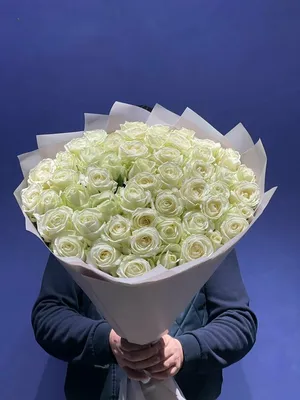 Фото белых роз в разных размерах