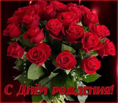 Фото идеальной розы в формате webp: поздравляю с днем рождения