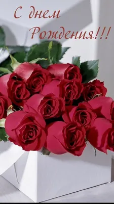 Изображение роскошных роз с днем вашего рождения: формат jpg
