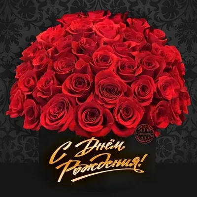 Фотография великолепной розы с днем вашего рождения: формат png