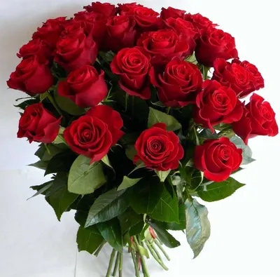 Роскошные розы с днем вашего рождения: выберите формат