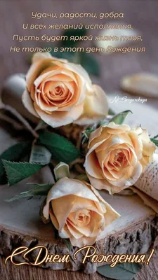 Изображение роскошных роз на фото: выбор формата изображения