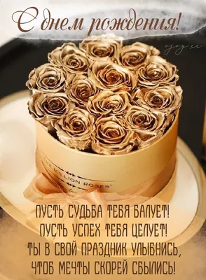 Фото изысканных роз в формате png: поздравление с днем рождения